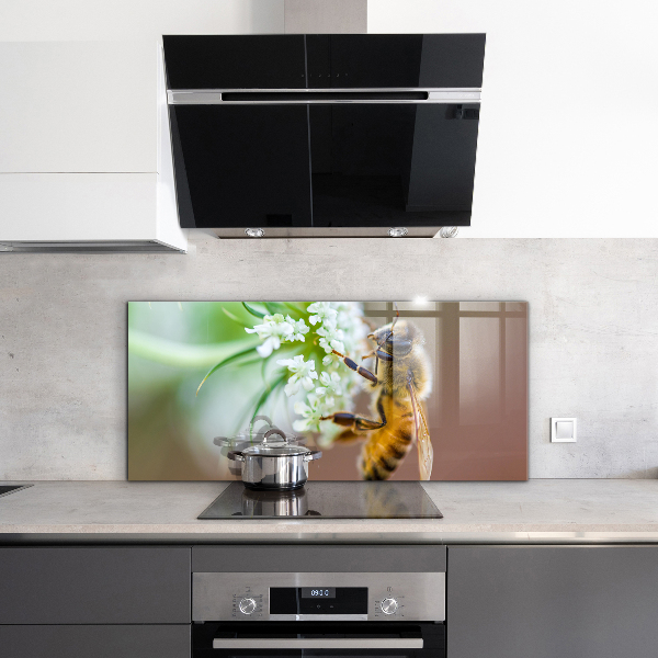 Küchenrückwand Spritzschutz Biene sammelt Pollen