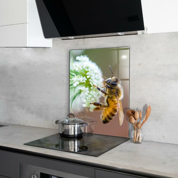 Küchenrückwand Spritzschutz Biene sammelt Pollen