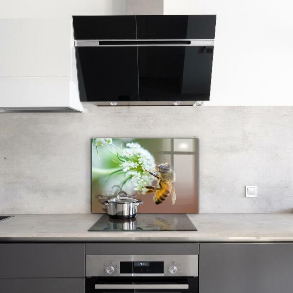 Küchenrückwand Spritzschutz Biene sammelt Pollen