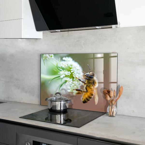 Küchenrückwand Spritzschutz Biene sammelt Pollen