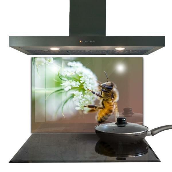 Küchenrückwand Spritzschutz Biene sammelt Pollen