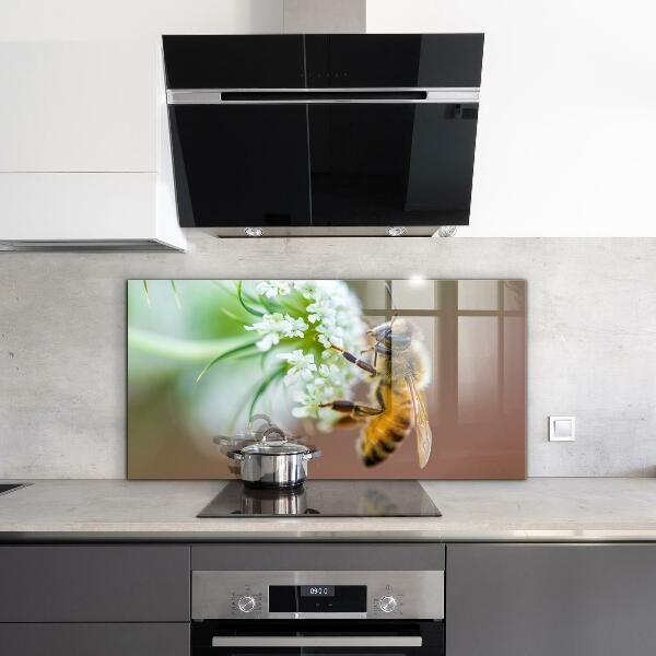 Küchenrückwand Spritzschutz Biene sammelt Pollen