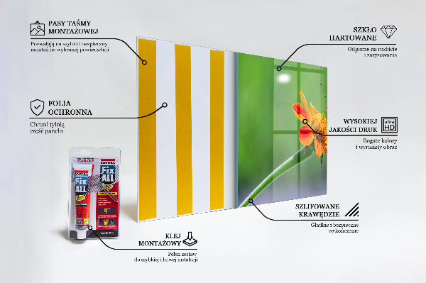 Küchenrückwand Spritzschutz Schmetterling auf einer Sommerblume