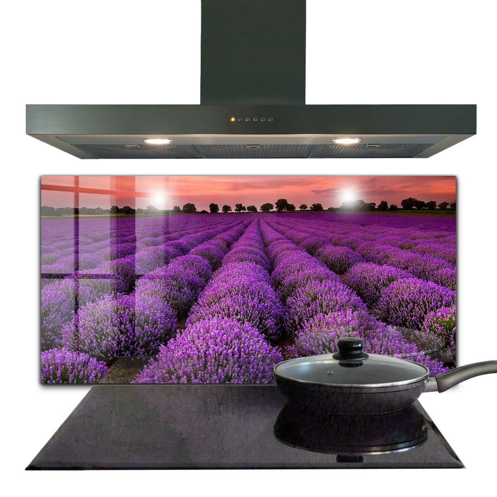 Küchenrückwand Fliesenspiegel Lavendelfeldlandschaft