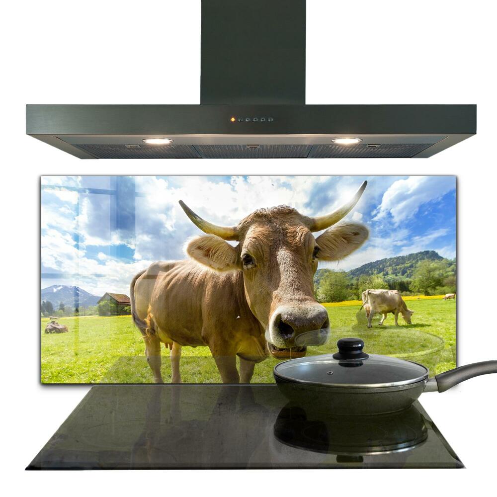 Küchenrückwand Spritzschutz Ländliches Klima Krowa Pole