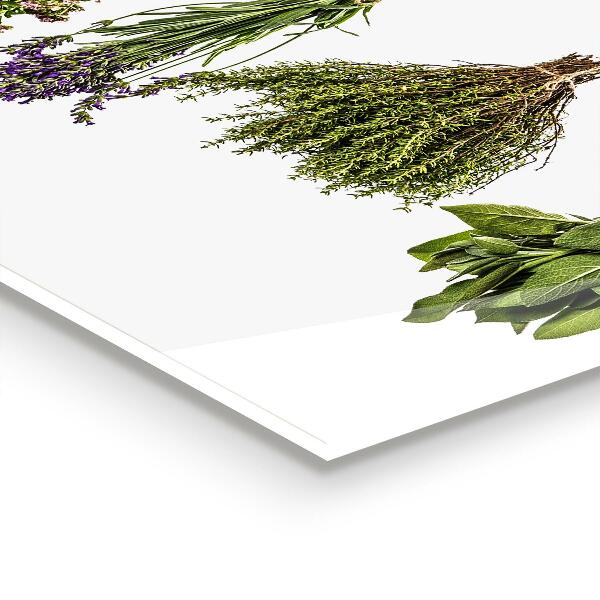 Küchenrückwand Spritzschutz Getrocknete Kräuter Kraft der Natur