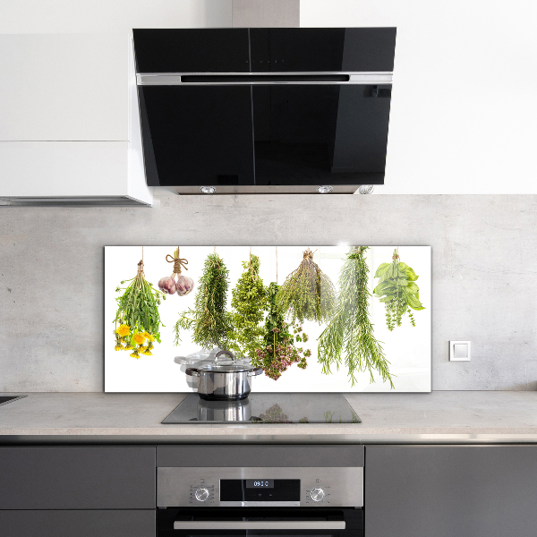 Küchenrückwand Spritzschutz Getrocknete Kräuter Kräutermedizin