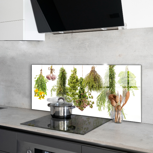 Küchenrückwand Spritzschutz Getrocknete Kräuter Kräutermedizin