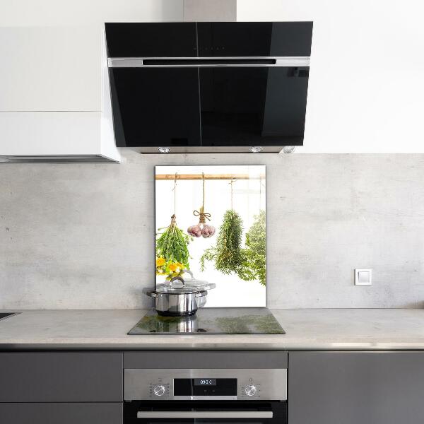 Küchenrückwand Spritzschutz Getrocknete Kräuter Kräutermedizin