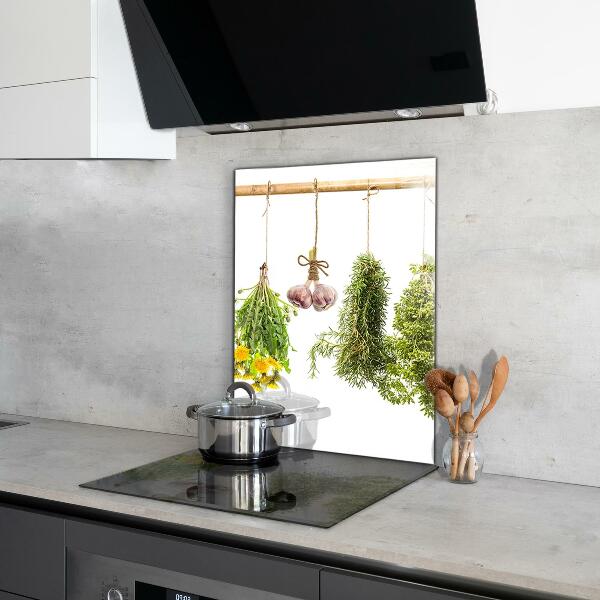 Küchenrückwand Spritzschutz Getrocknete Kräuter Kräutermedizin