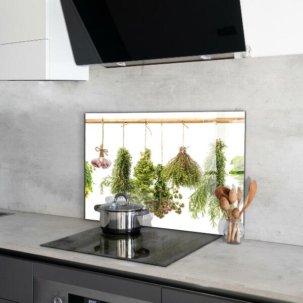 Küchenrückwand Spritzschutz Getrocknete Kräuter Kräutermedizin