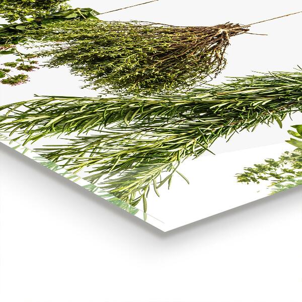 Küchenrückwand Spritzschutz Getrocknete Kräuter Kräutermedizin