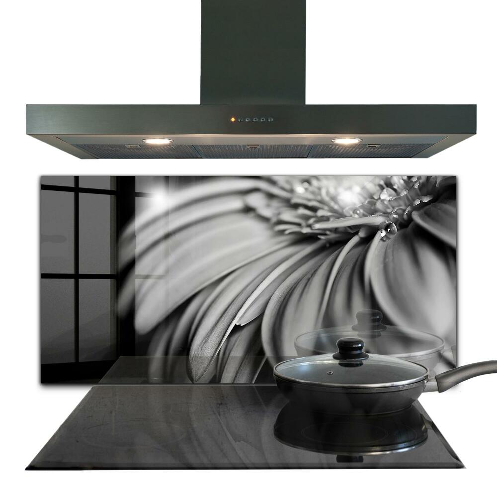 Küchenrückwand Fliesenspiegel Gerber Schwarzweißfoto