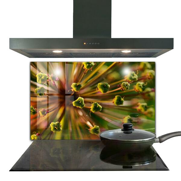 Küchenrückwand Fliesenspiegel Blumen-Makrofotografie