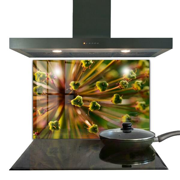 Küchenrückwand Fliesenspiegel Blumen-Makrofotografie