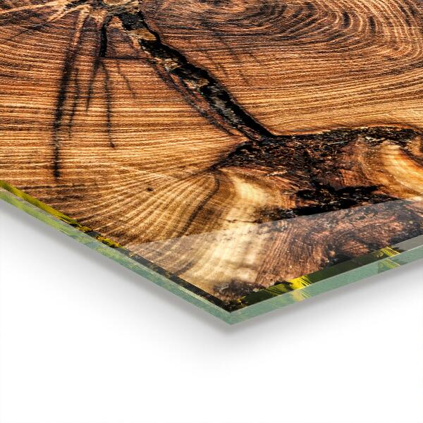 Küchenrückwand Fliesenspiegel Stammstruktur