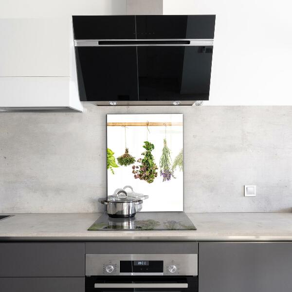 Küchenrückwand Spritzschutz Getrocknete Kräuter, gesunde Ernährung