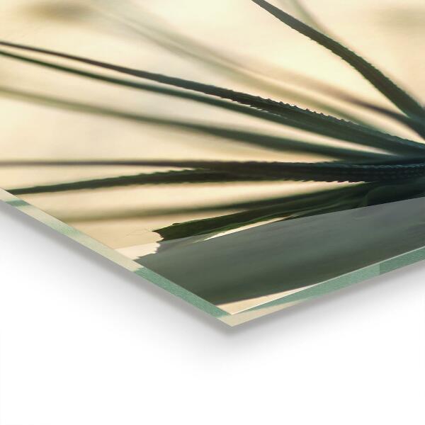 Küchenrückwand Fliesenspiegel Wunderschöner zarter Löwenzahn