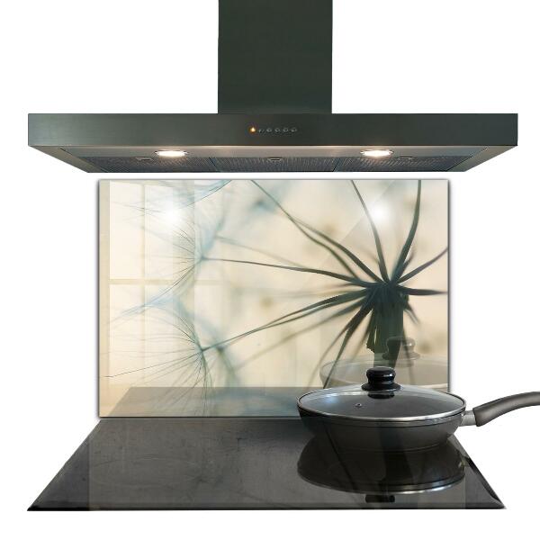 Küchenrückwand Fliesenspiegel Wunderschöner zarter Löwenzahn