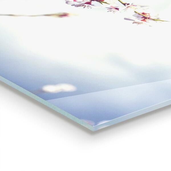 Küchenrückwand Fliesenspiegel Zarte rosa Blüten