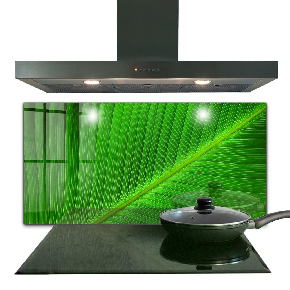 Küchenrückwand Fliesenspiegel Tropisches Palmblatt