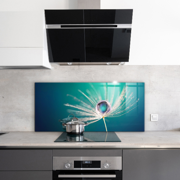 Küchenrückwand Fliesenspiegel Löwenzahn mit Tautropfen