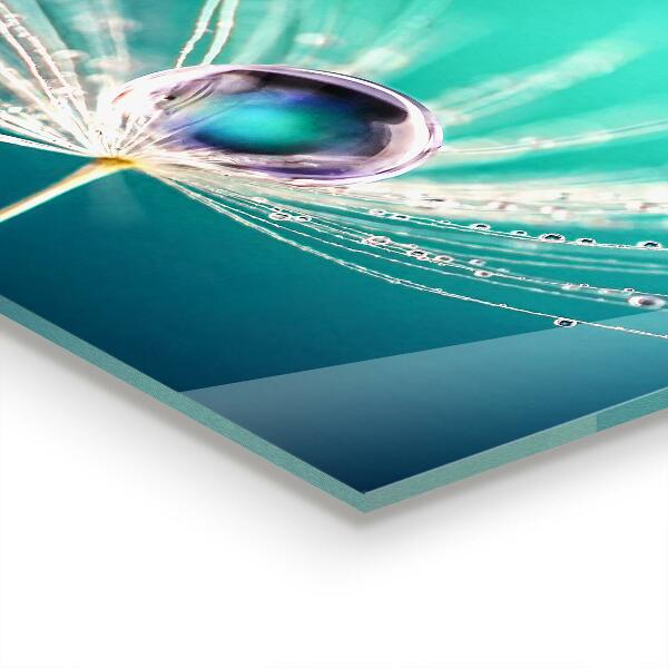 Küchenrückwand Fliesenspiegel Löwenzahn mit Tautropfen