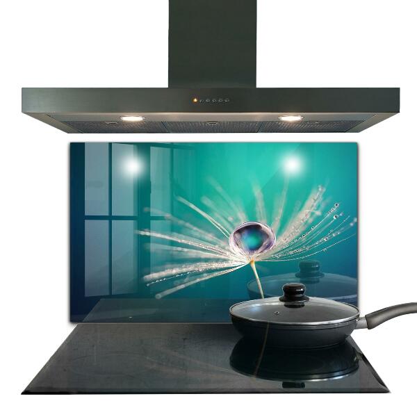 Küchenrückwand Fliesenspiegel Löwenzahn mit Tautropfen