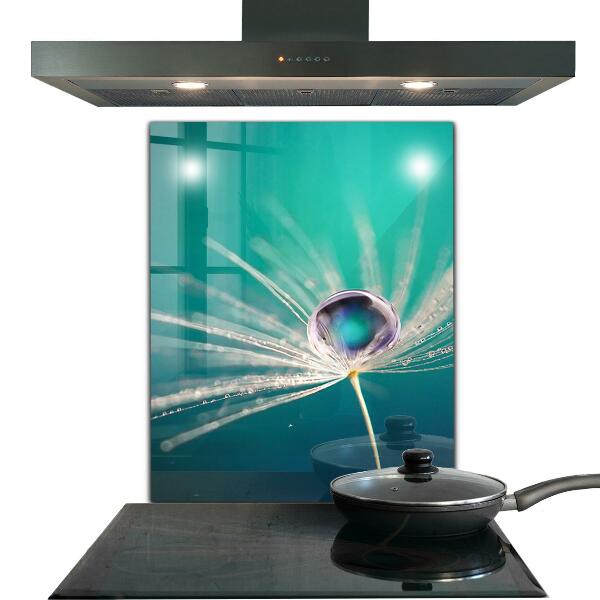 Küchenrückwand Fliesenspiegel Löwenzahn mit Tautropfen