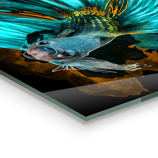 Küchenrückwand Spritzschutz Tropischer Kampffisch