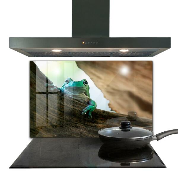 Küchenrückwand Spritzschutz Afrikanisches Froschporträt