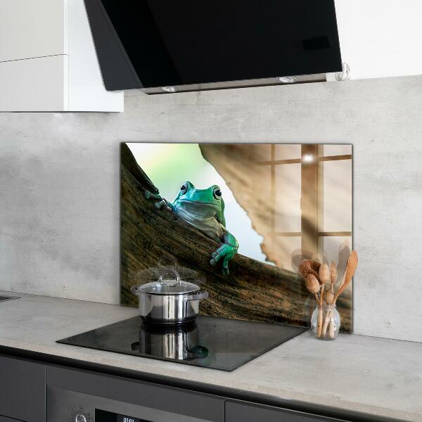 Küchenrückwand Spritzschutz Afrikanisches Froschporträt