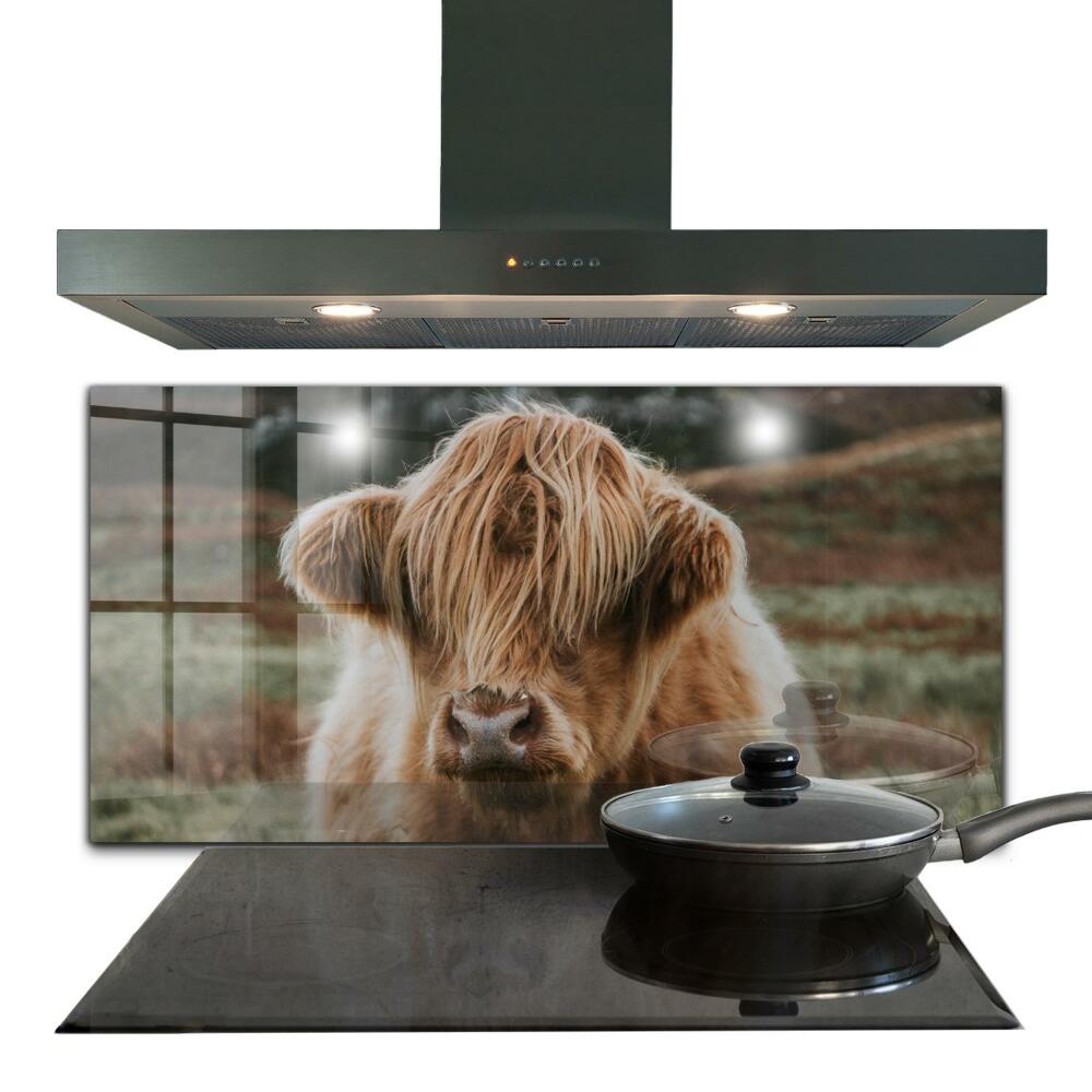 Küchenrückwand Spritzschutz Kuh im Highland-Cottage-Stil