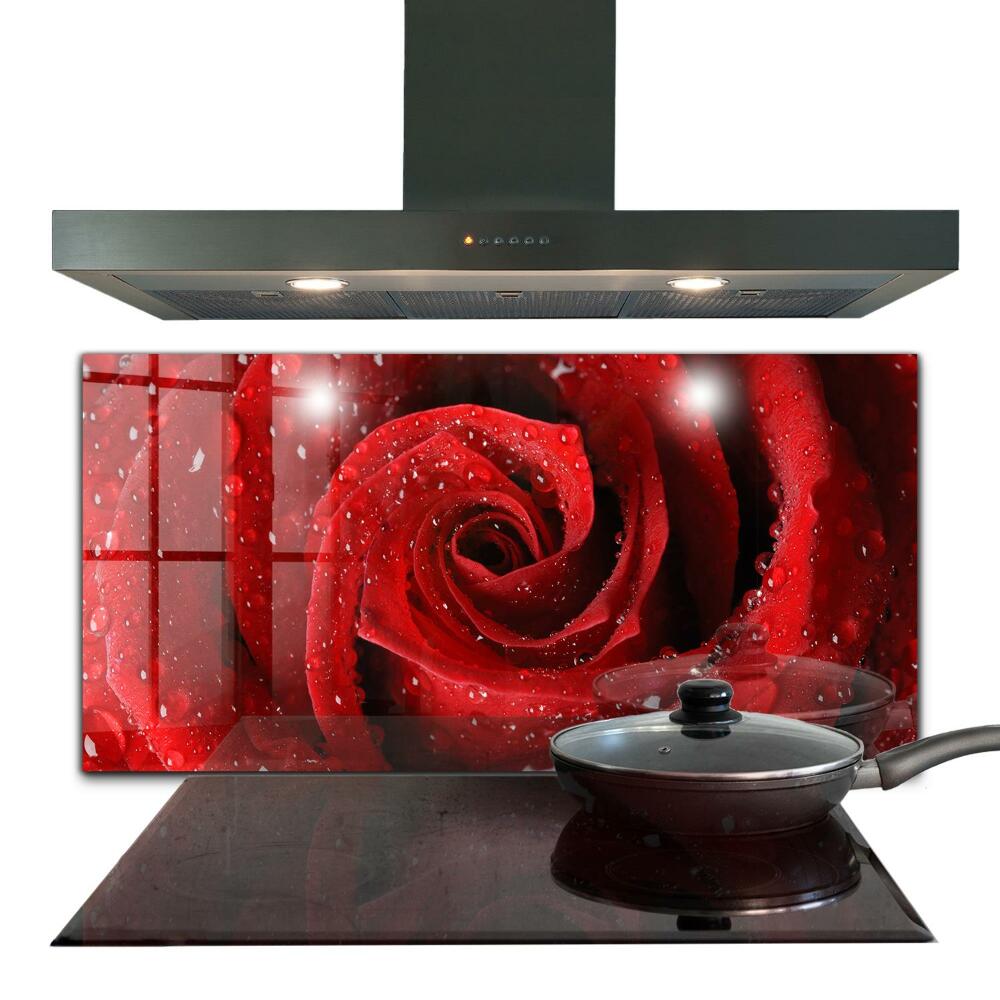 Küchenrückwand Spritzschutz Tautropfen auf einer roten Rose