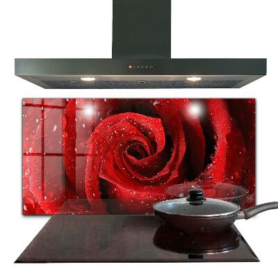 Küchenrückwand Spritzschutz Tautropfen auf einer roten Rose