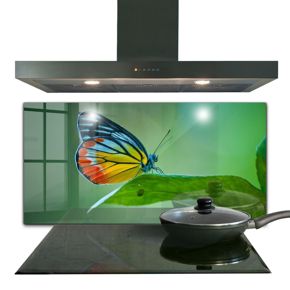 Küchenrückwand Spritzschutz Schmetterling ruht auf einem Blatt