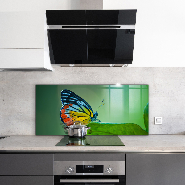 Küchenrückwand Spritzschutz Schmetterling ruht auf einem Blatt