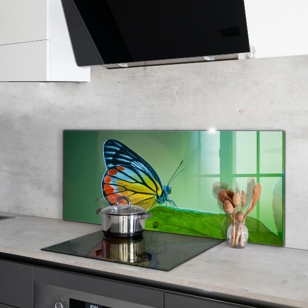 Küchenrückwand Spritzschutz Schmetterling ruht auf einem Blatt