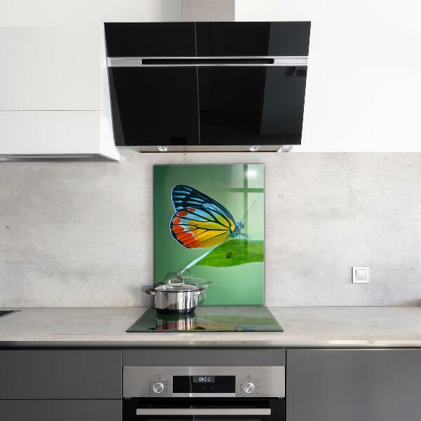 Küchenrückwand Spritzschutz Schmetterling ruht auf einem Blatt