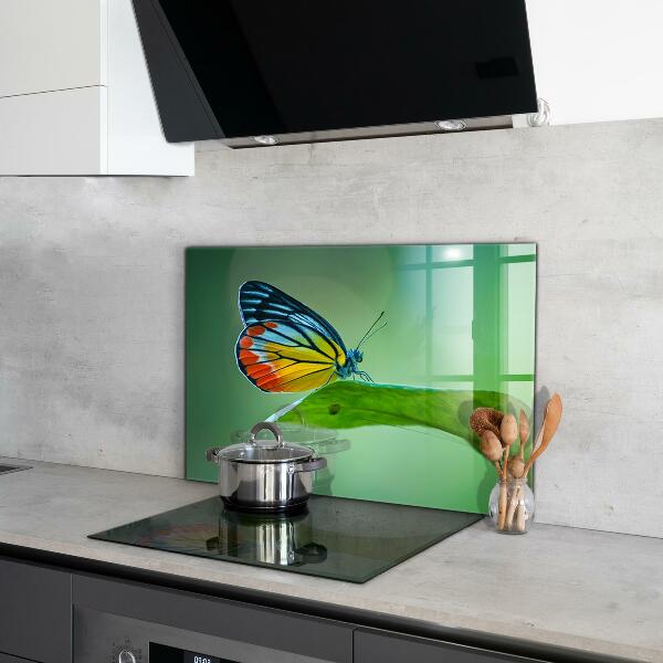 Küchenrückwand Spritzschutz Schmetterling ruht auf einem Blatt