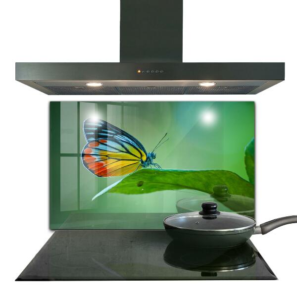 Küchenrückwand Spritzschutz Schmetterling ruht auf einem Blatt