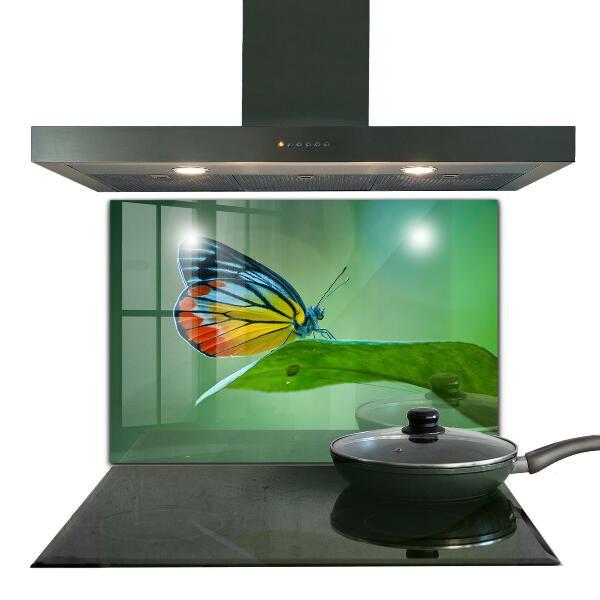 Küchenrückwand Spritzschutz Schmetterling ruht auf einem Blatt