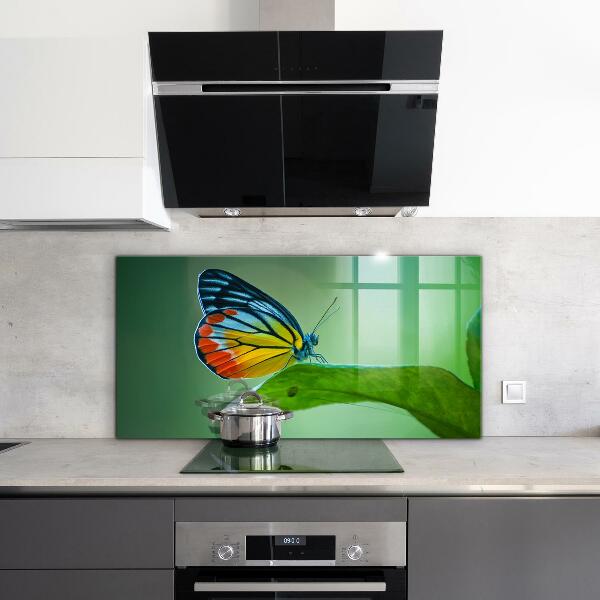 Küchenrückwand Spritzschutz Schmetterling ruht auf einem Blatt