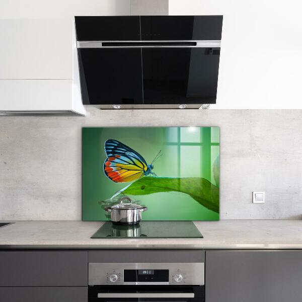 Küchenrückwand Spritzschutz Schmetterling ruht auf einem Blatt