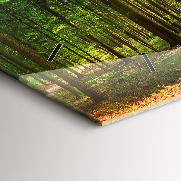 Horizontale Uhr Sonnenaufgang im Wald