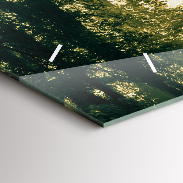 Horizontale Uhr Sonnenstrahlen Wald