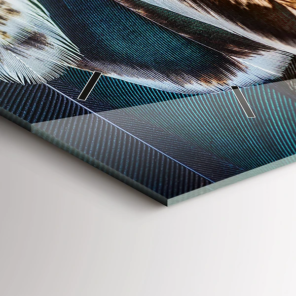 Horizontale Uhr mit motiv Hellbraune Federn eines Vogels