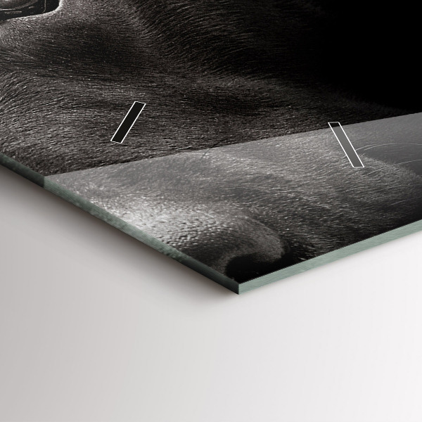 Horizontale Uhr Hund und schottische Katze