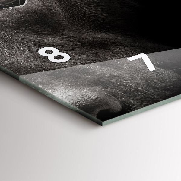 Horizontale Uhr Hund und schottische Katze