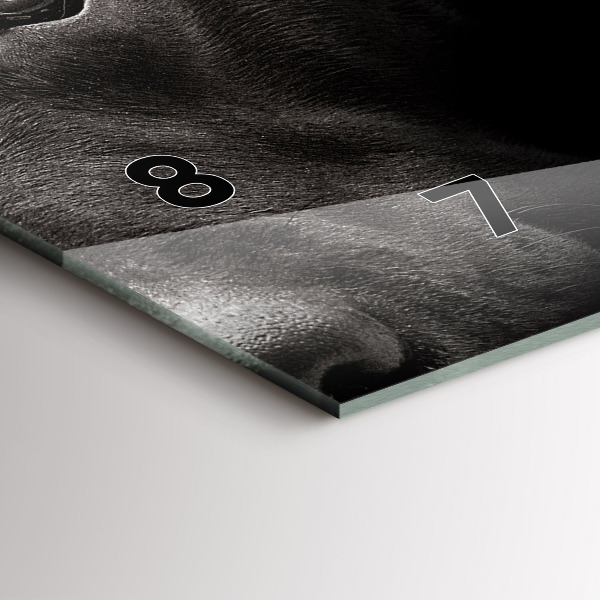 Horizontale Uhr Hund und schottische Katze